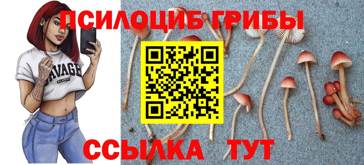 COCAIN  Вход с VPN  МАРИХУАНА  МДМА  МЕФ  Протвино  Гашиш  МАРИХУАНА  Меф МЯУ МЯУ кристаллы 