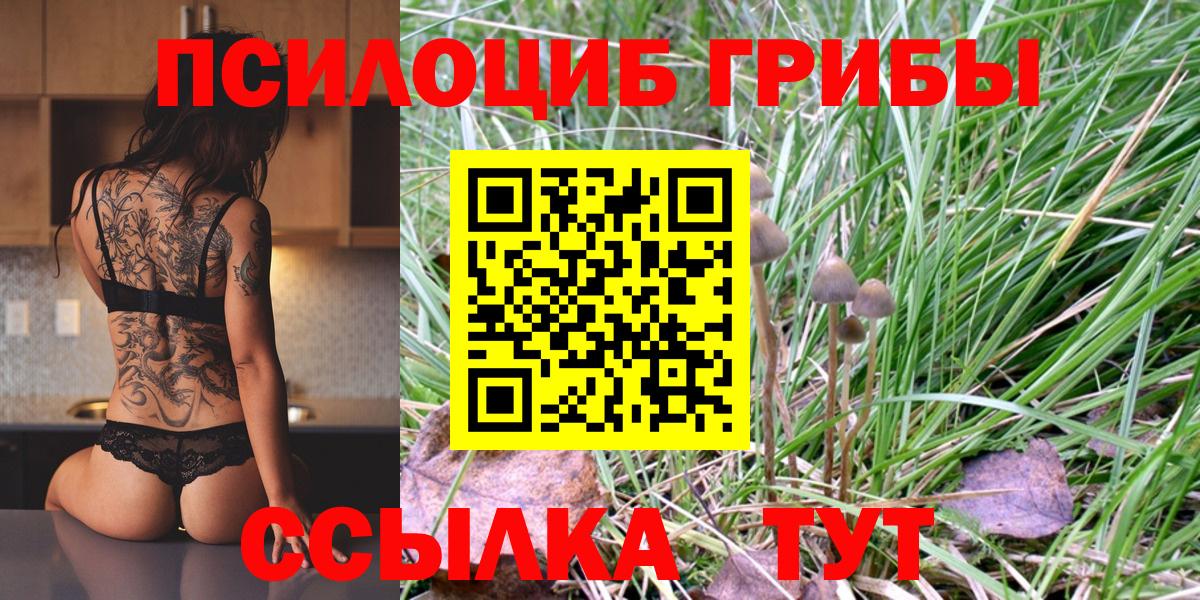 Галлюциногенные грибы MAGIC MUSHROOMS  Вход с VPN  Протвино 